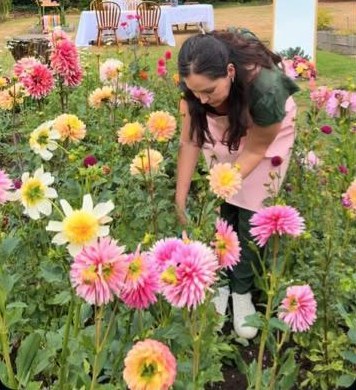 Cutting dahlias in the rows with the worktable set up on the lawn behind